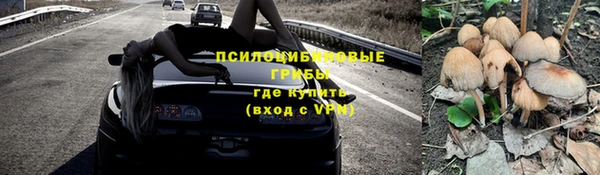сатива Балабаново